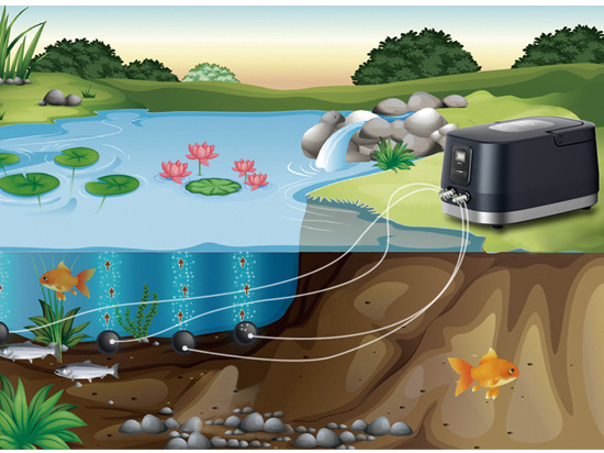 1668585689859627.jpg 右圖應(yīng)用.jpg